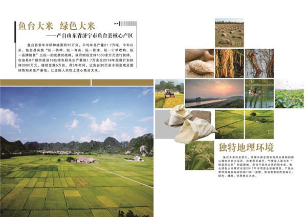 鱼台绿色大米